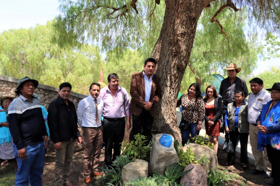 SACABA CONMEMOR&Oacute; EL D&Iacute;A DEL &Aacute;RBOL CONDECORANDO UN MOLLE DE 50 A&Ntilde;OS Y CON UNA PLANTACI&Oacute;N DE ESPECIES NATIVAS EN EL PARQUE PREHIST&Oacute;RICO