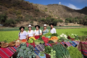 HUERTA MAYU PACATA, MOSTRAR&Aacute; TODO SU POTENCIAL PRODUCTIVO EN LA TERCERA FERIA AGR&Iacute;COLA GASTRON&Oacute;MICA ESTE DOMINGO 18 DE AGOSTO