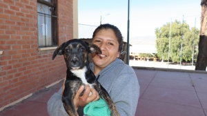 ZOONOSIS SACABA REALIZA ESTERILIZACIONES A COSTO SOCIAL PARA REDUCIR LA SOBREPOBLACI&Oacute;N CANINA EN LAS CALLES Y FOMENTAR EL CUIDADO RESPONSABLE DE LAS MASCOTAS