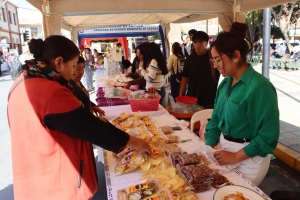 EN SACABA M&Aacute;S DE 50 J&Oacute;VENES EMPRENDEDORES SON CAPACITADOS EN DIFERENTES &Aacute;REAS, VARIOS RECIBIERON CAPITAL SEMILLA PARA HACER CRECER SUS NEGOCIOS