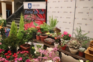 M&Aacute;S DE 300 EXPOSITORES Y VIVERISTAS MOSTRAR&Aacute;N LO MEJOR DE SU PRODUCCI&Oacute;N EN LA XII FERIA DE LAS FLORES Y PLANTAS DE SACABA