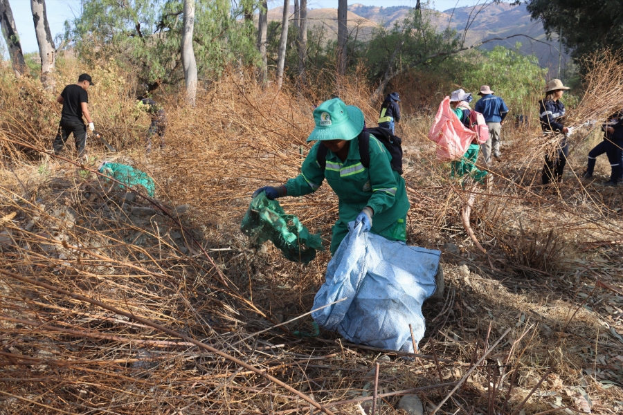 SE REALIZ&Oacute; UNA JORNADA DE LIMPIEZA EN EL PARQUE METROPOLITANO DE AROCAGUA EN EL DISTRITO 2 DE SACABA