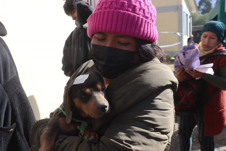 TENENCIA RESPONSABLE: CON &Eacute;XITO SE REALIZ&Oacute; LA CAMPA&Ntilde;A DE ESTERILIZACI&Oacute;N CANINA Y FELINA &ldquo;M&Aacute;S AMOR, MENOS ABANDONO"