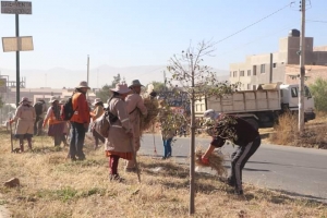 ALCALD&Iacute;A DE SACABA Y LA ESCUELA DE APLICACI&Oacute;N DE ARMAS Y TECNOL&Oacute;GICA DEL EJ&Eacute;RCITO REALIZAN LA LIMPIEZA DE LA JARDINERA DE LA AVENIDA JUAN JOS&Eacute; TORRES DE EL ABRA