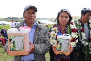 ENTREGAN TINGLADOS A PRODUCTORES DE ESENCIAS DE EUCALIPTO EN LARATY