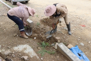 TEMPORADA DE LLUVIAS: UGR DE SACABA REALIZA LA LIMPIEZA DE BOCAS DE TORMENTA PARA PREVENIR INUNDACIONES