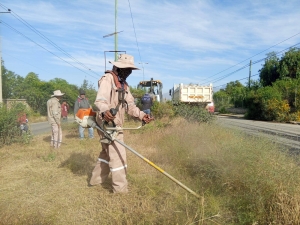 TRABAJO COMUNITARIO: SERVIDORES P&Uacute;BLICOS DEL GAMS REALIZARON LA LIMPIEZA Y DESMALEZADO DE LAS JARDINERAS DE LAS AVENIDAS CIRCUNVALACI&Oacute;N NORTE Y JUAN JOS&Eacute; TORRES