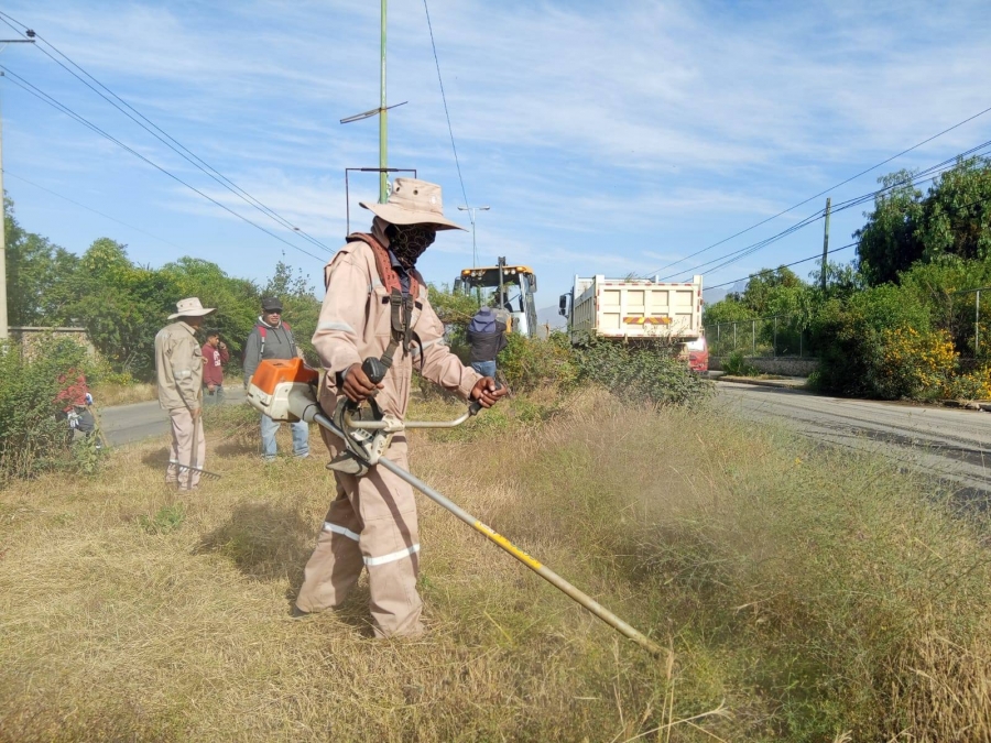 TRABAJO COMUNITARIO: SERVIDORES P&Uacute;BLICOS DEL GAMS REALIZARON LA LIMPIEZA Y DESMALEZADO DE LAS JARDINERAS DE LAS AVENIDAS CIRCUNVALACI&Oacute;N NORTE Y JUAN JOS&Eacute; TORRES
