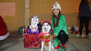 DESFILE NAVIDE&Ntilde;O DE MASCOTAS PROMOVI&Oacute; LA SOLIDARIDAD Y EL CUIDADO RESPONSABLE
